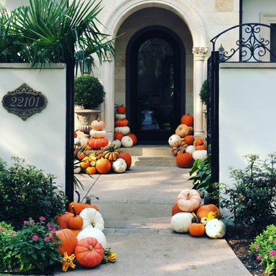 Harvest Haven Package – Our Most Popular Choice